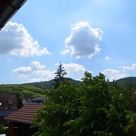 L'atelier Des Sens Bed and breakfast Wintzenheim